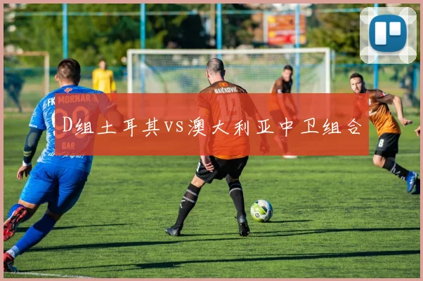 D组土耳其vs澳大利亚中卫组合