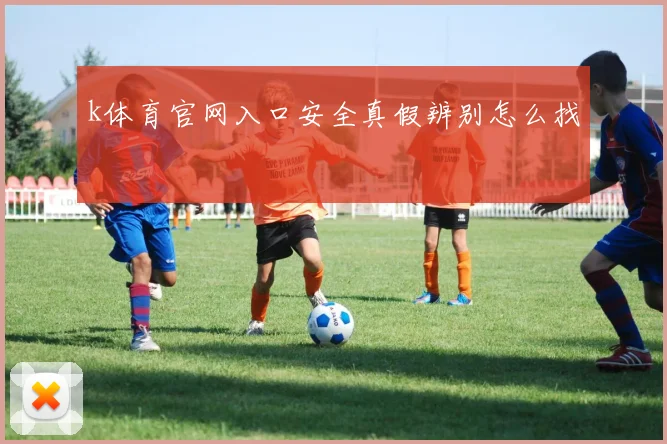 k体育官网入口安全真假辨别怎么找
