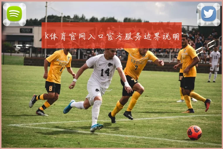 k体育官网入口官方服务边界说明