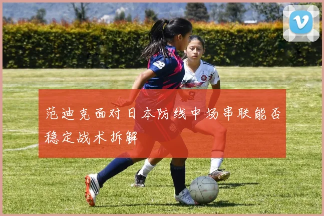 范迪克面对日本防线中场串联能否稳定战术拆解