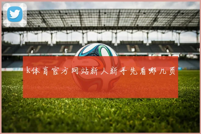 k体育官方网站新人新手先看哪几页