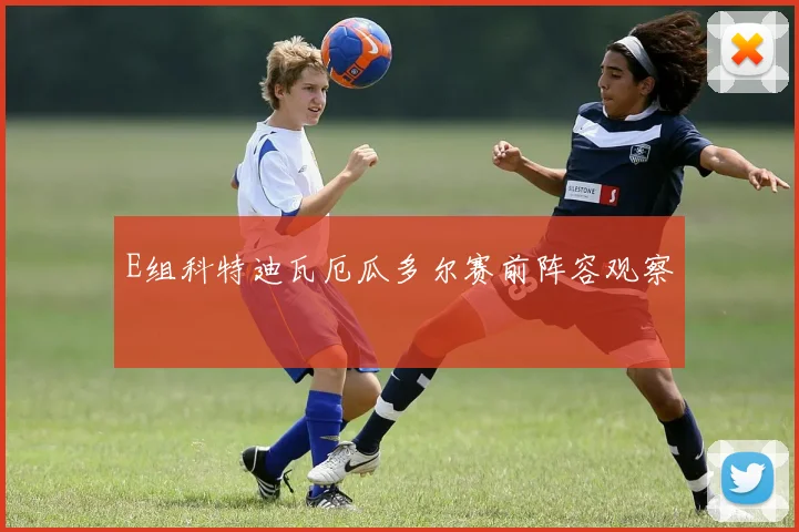 E组科特迪瓦厄瓜多尔赛前阵容观察